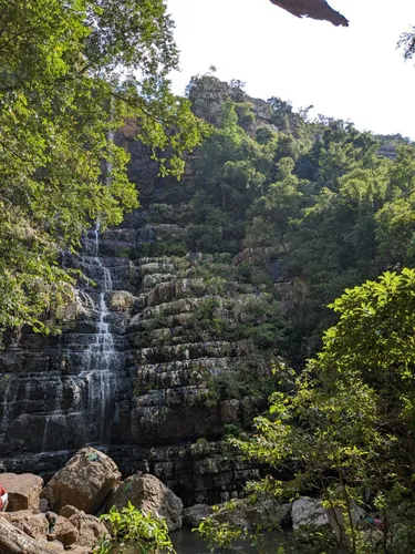 Sri Venkateswara Wildlife Sanctuary, one of the best places to visit in Kadapa for nature lovers