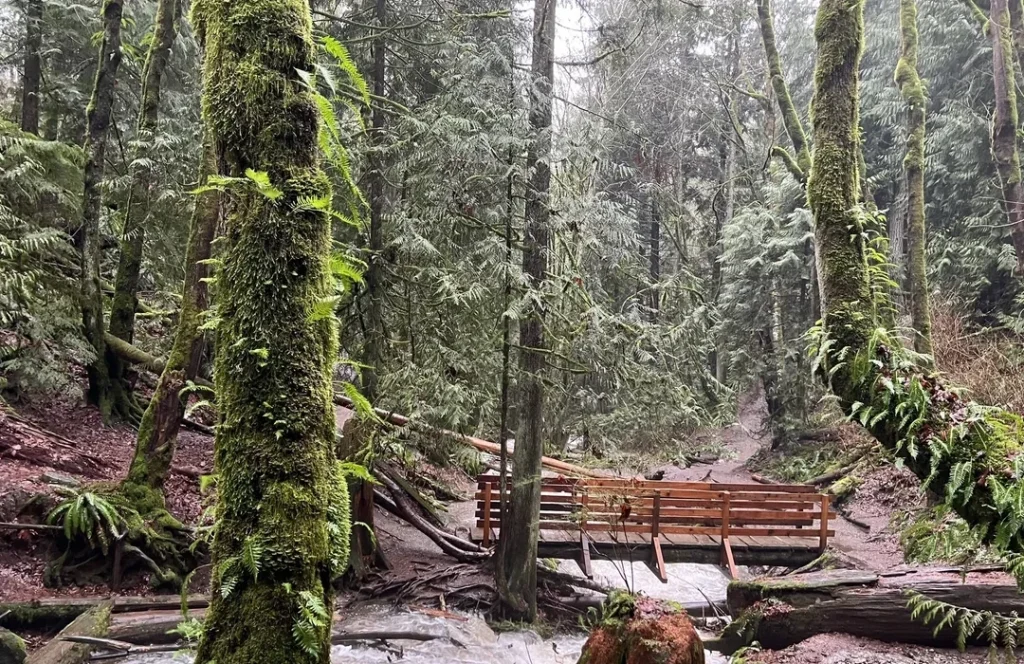 Hilly terrain and greenery at Sri Venkateswara Wildlife Sanctuary Kadapa
