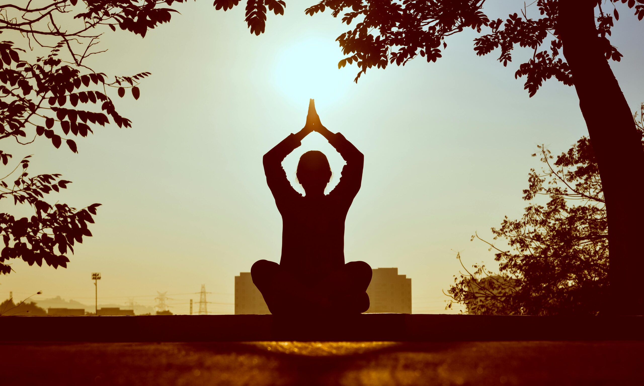 meditation classes in Bangalore for stress relief
